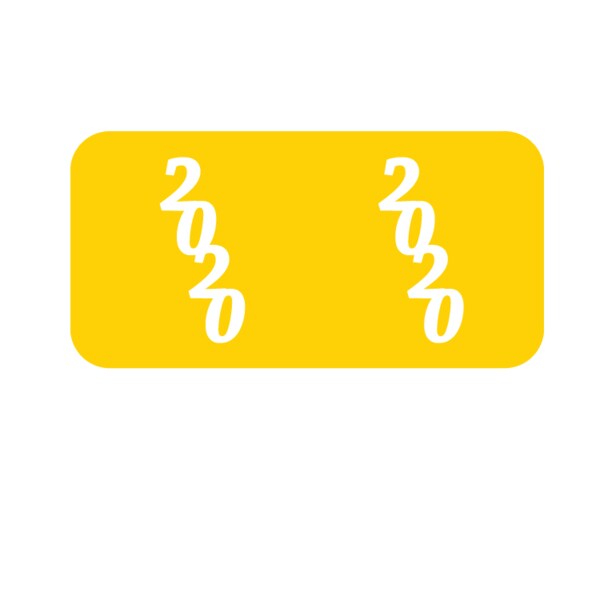 Nevs 2020 Smead Year Bands 3/4" x 1-1/2" Yellow w/Black XY-D-2020-S - main